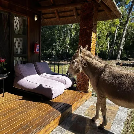 Shabby Fufu Lifestyle Farm Vila Plettenberg Bay Exterior foto
